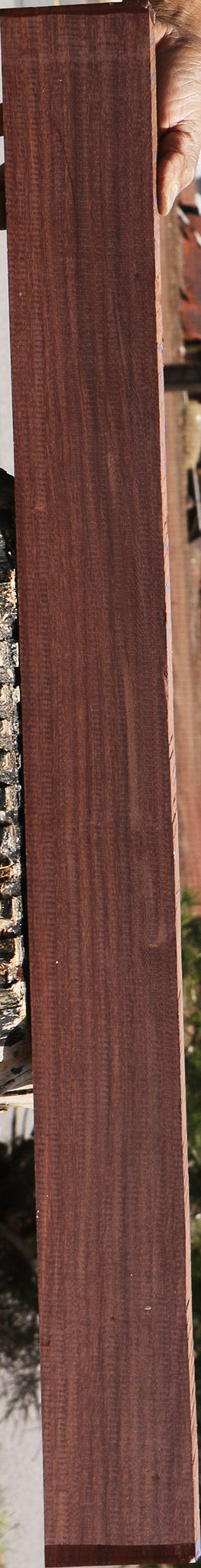 Figured Katalox Lumber