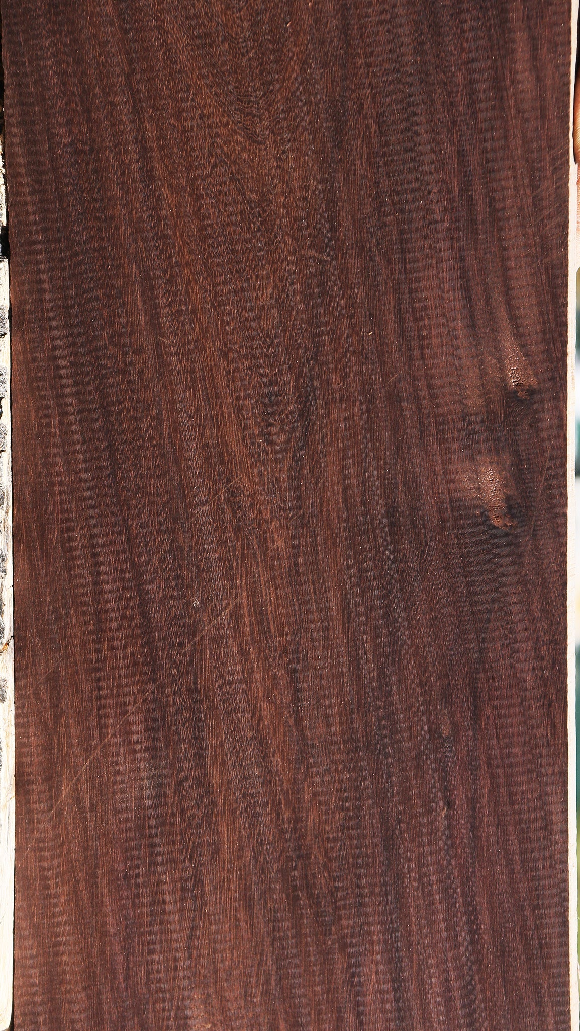 Figured Katalox Lumber