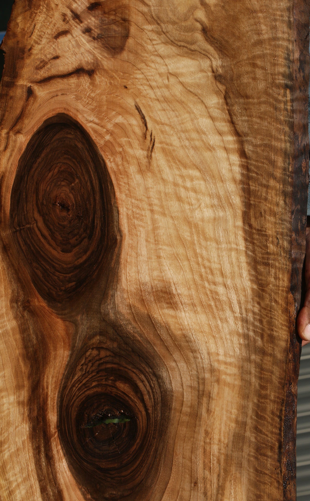 Rustic English Walnut Live Edge Lumber