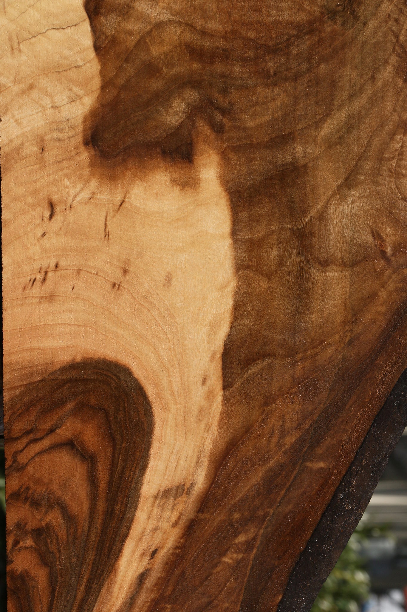 Extra Fancy English Walnut Live Edge Lumber