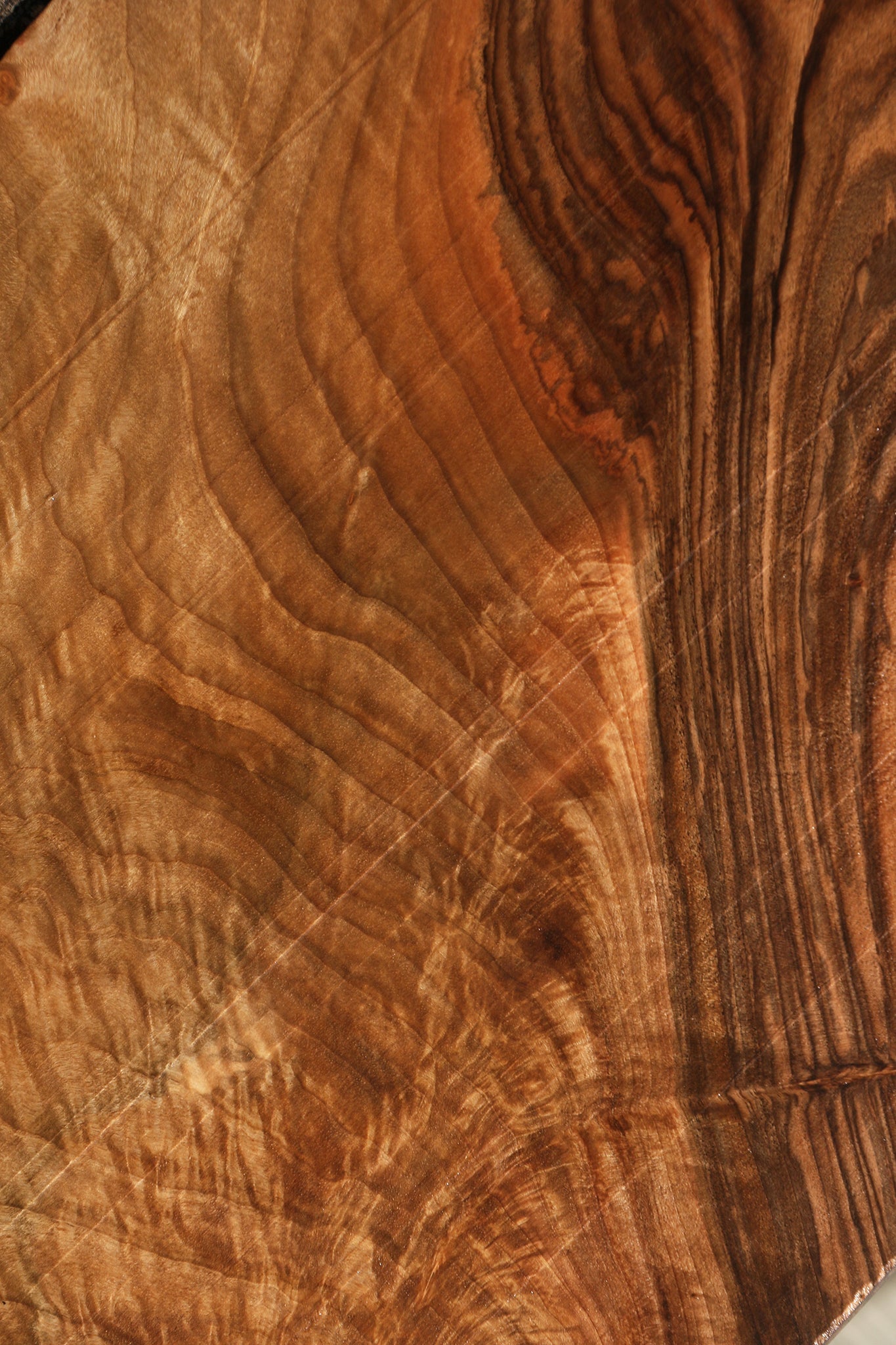 Extra Fancy English Walnut Lumber