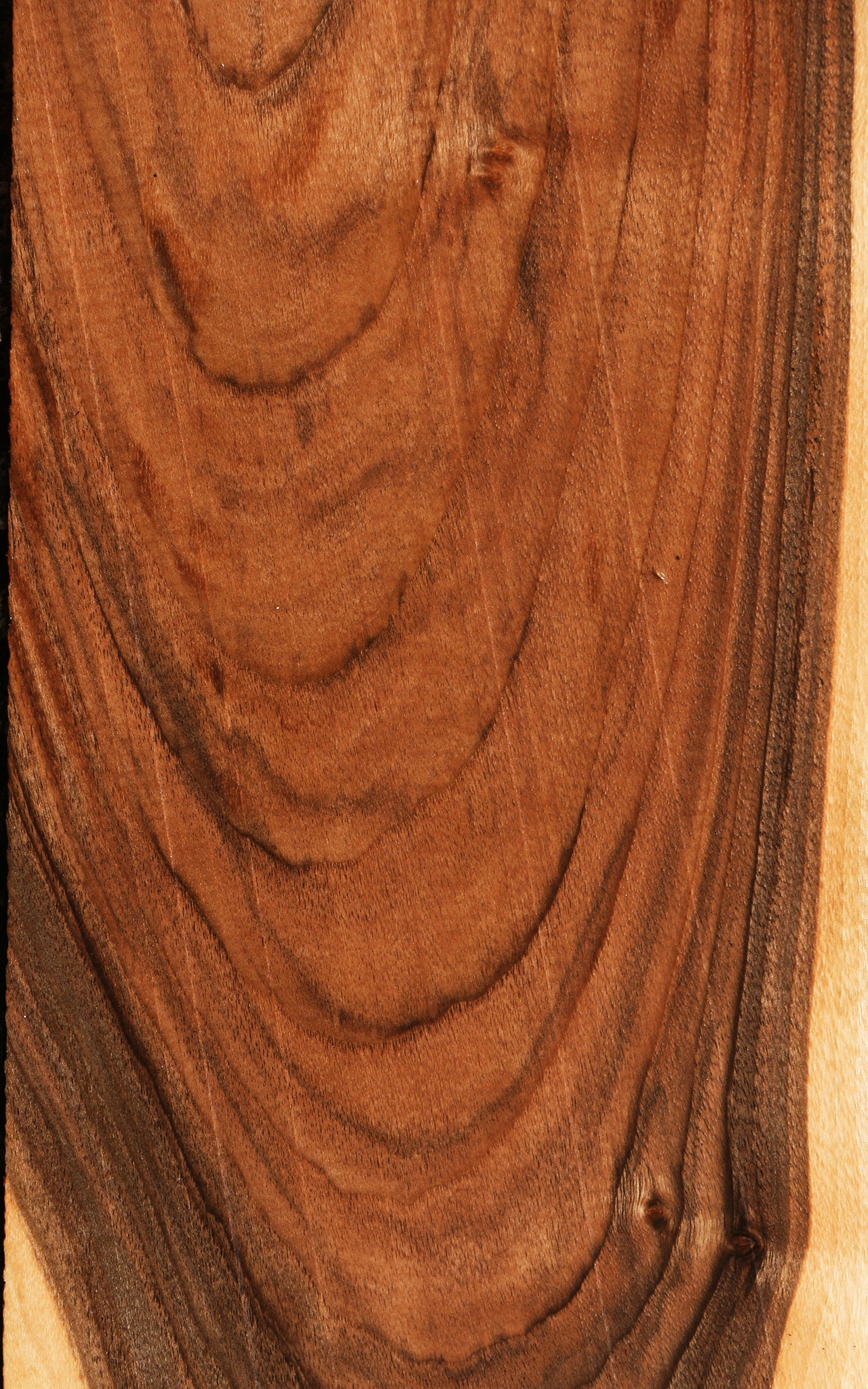 Figured English Walnut Live Edge Lumber