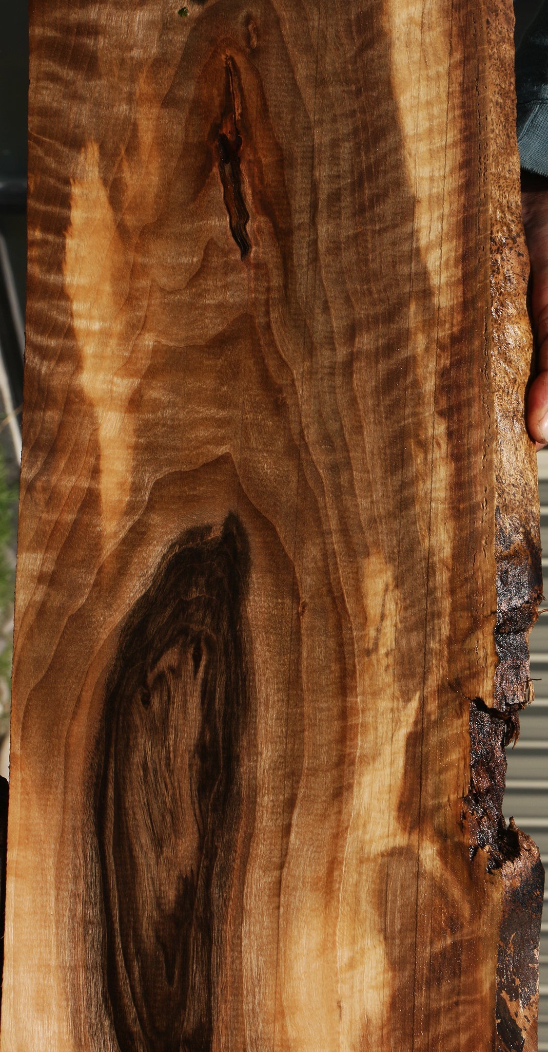 Extra Fancy English Walnut Live Edge Lumber