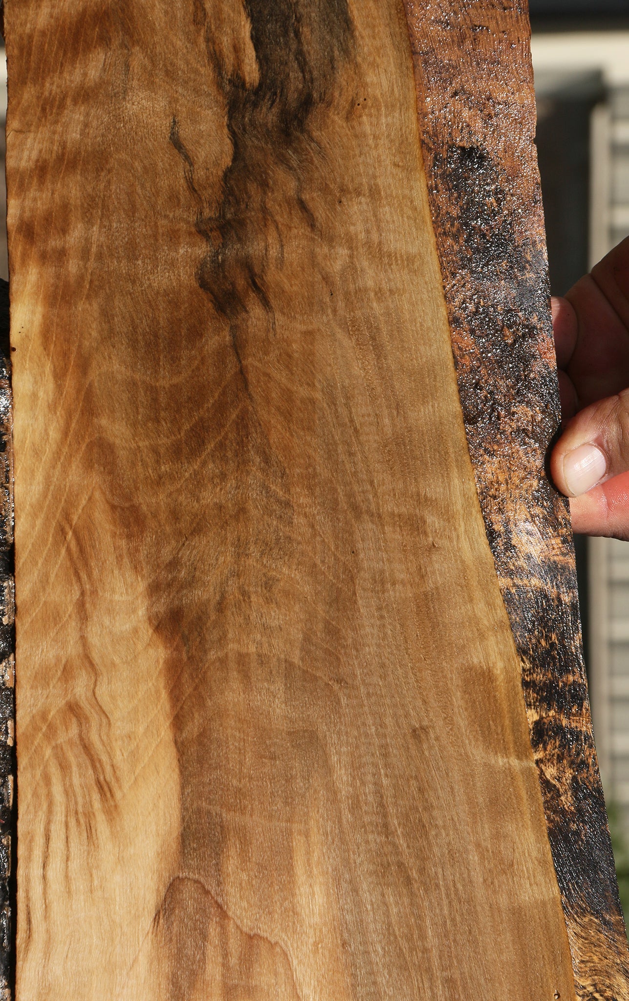 Figured English Walnut Live Edge Lumber