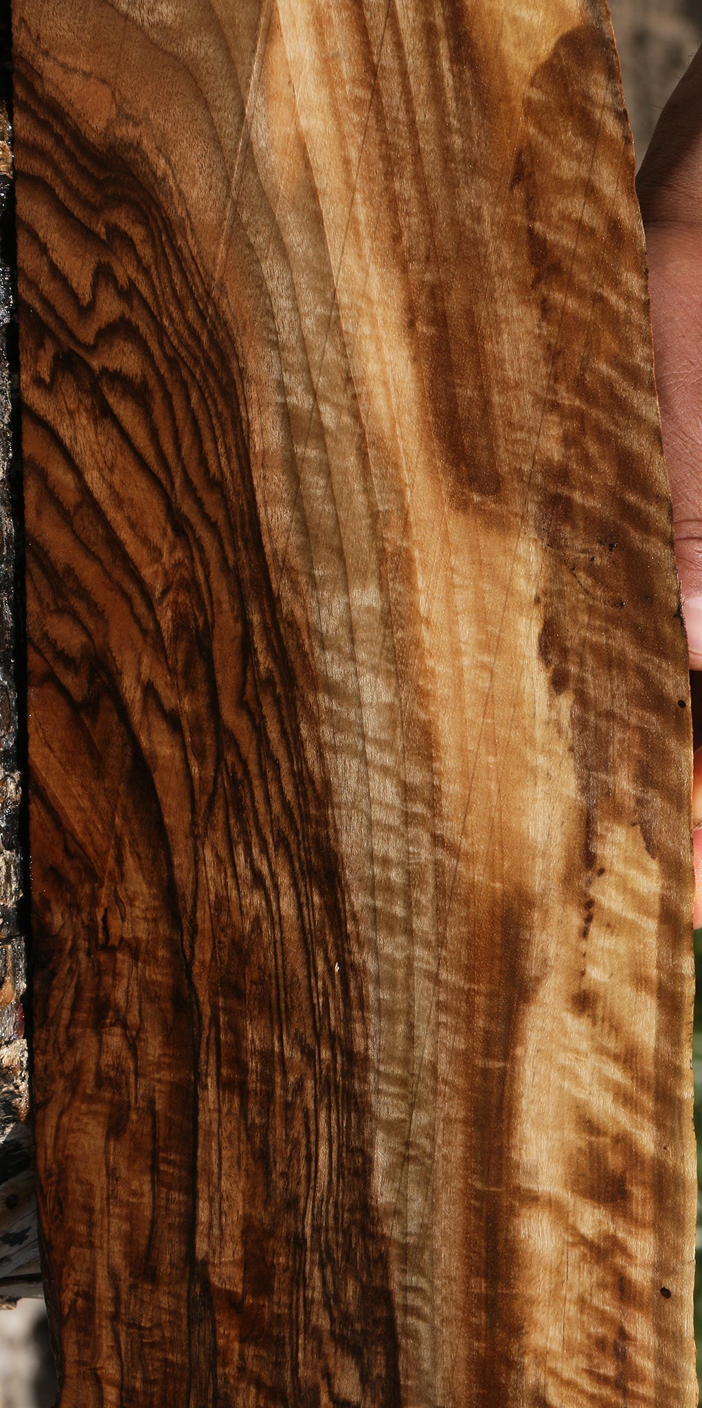 Extra Fancy English Walnut Live Edge Lumber