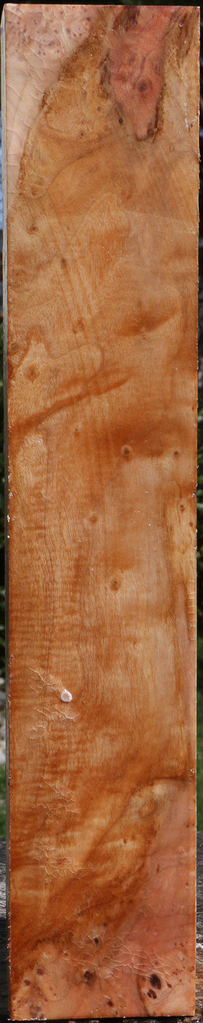 Maple Burl Peppermill