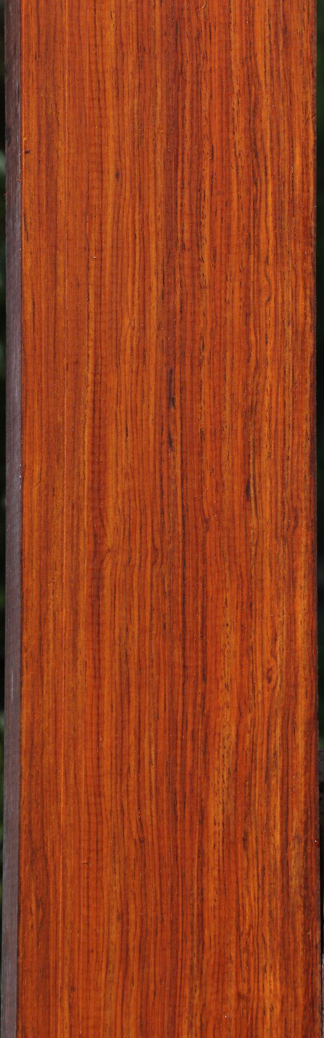 Quartersawn Cocobolo Lumber