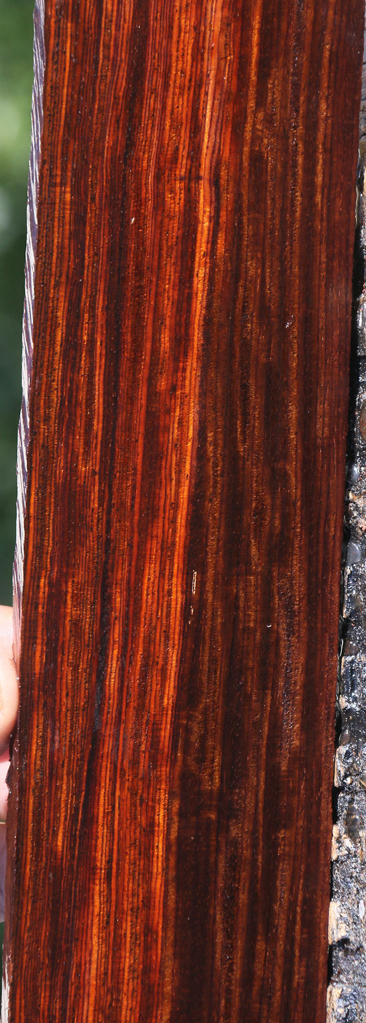 Extra Fancy Cocobolo Micro Lumber