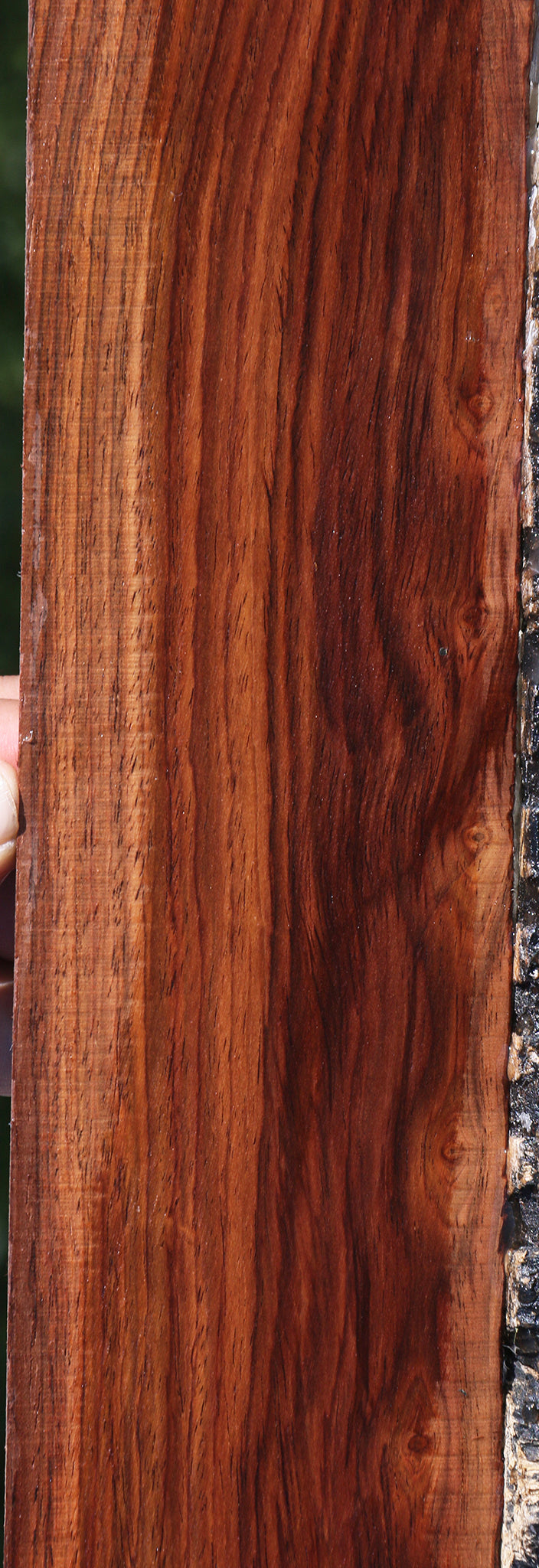 Cocobolo Micro Lumber