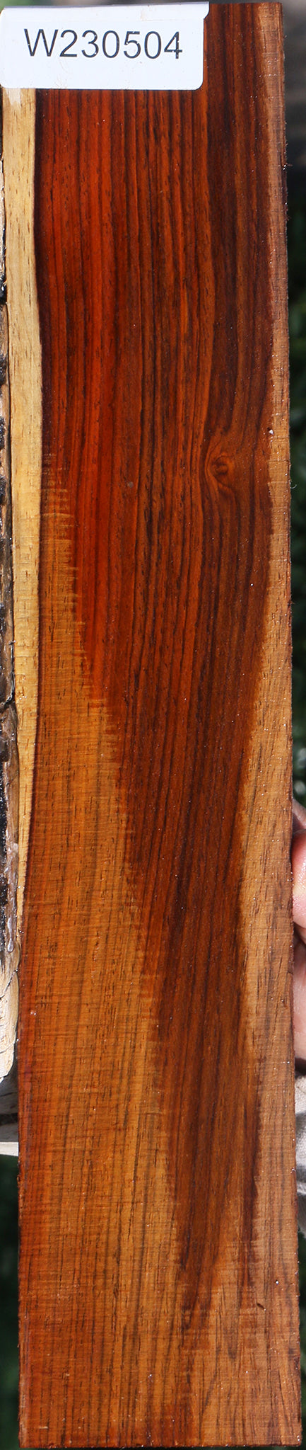 Cocobolo Micro Lumber