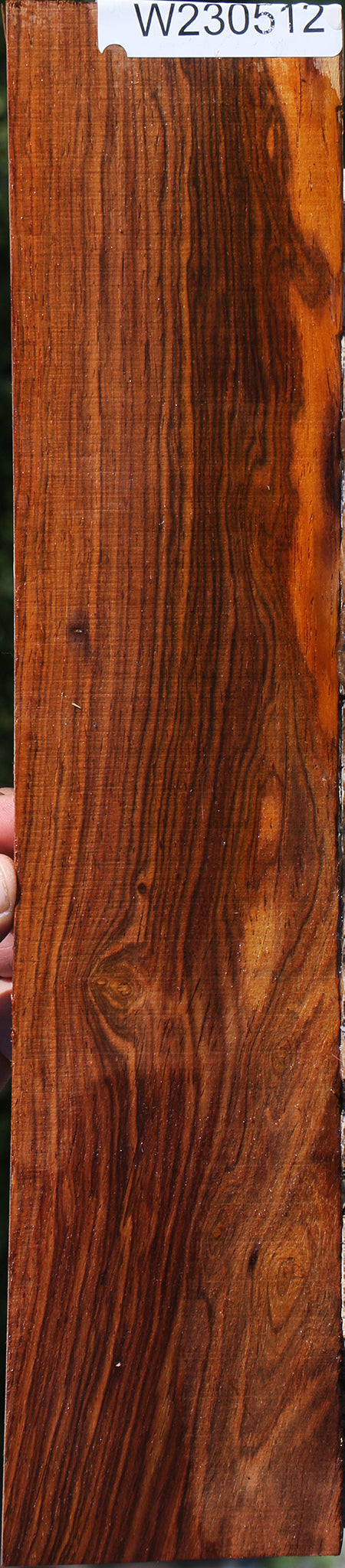 Cocobolo Micro Lumber