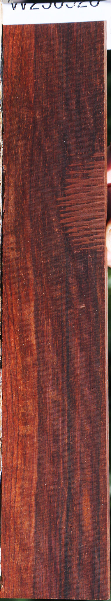 Extra Fancy Cocobolo Micro Lumber