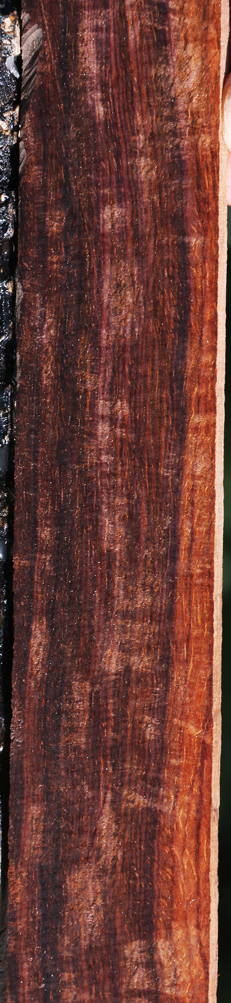 Cocobolo Micro Lumber