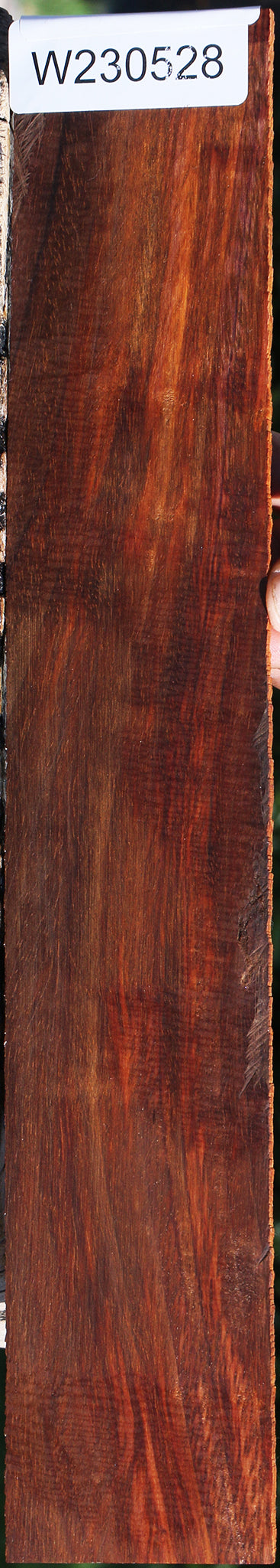 Figured Cocobolo Micro Lumber