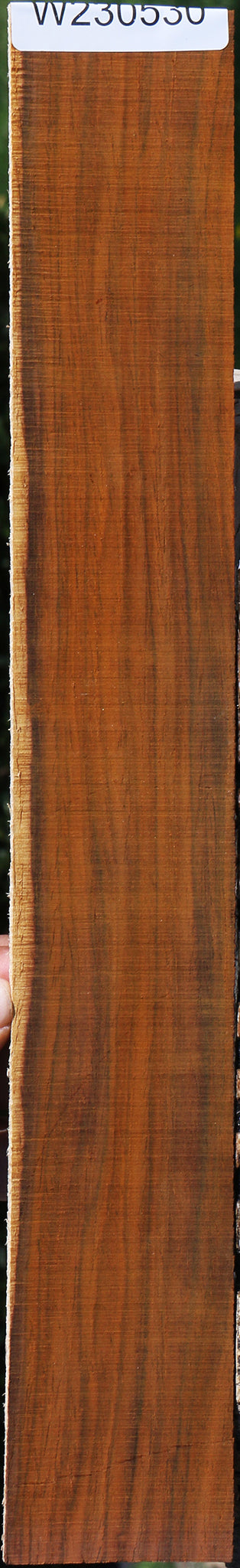 Cocobolo Micro Lumber