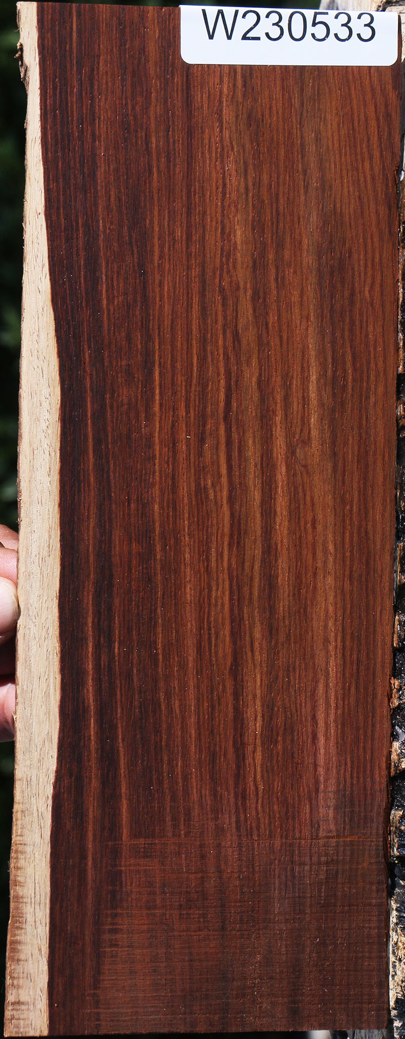 Cocobolo Micro Lumber