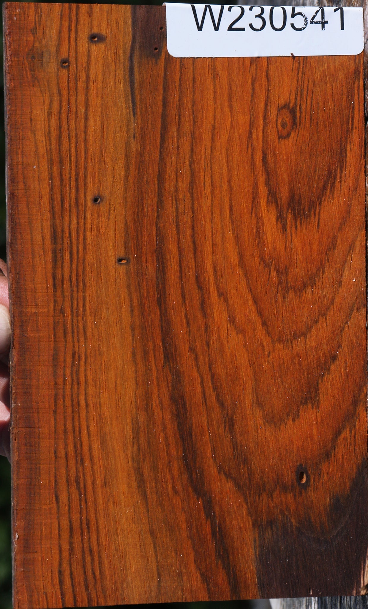 Cocobolo Micro Lumber