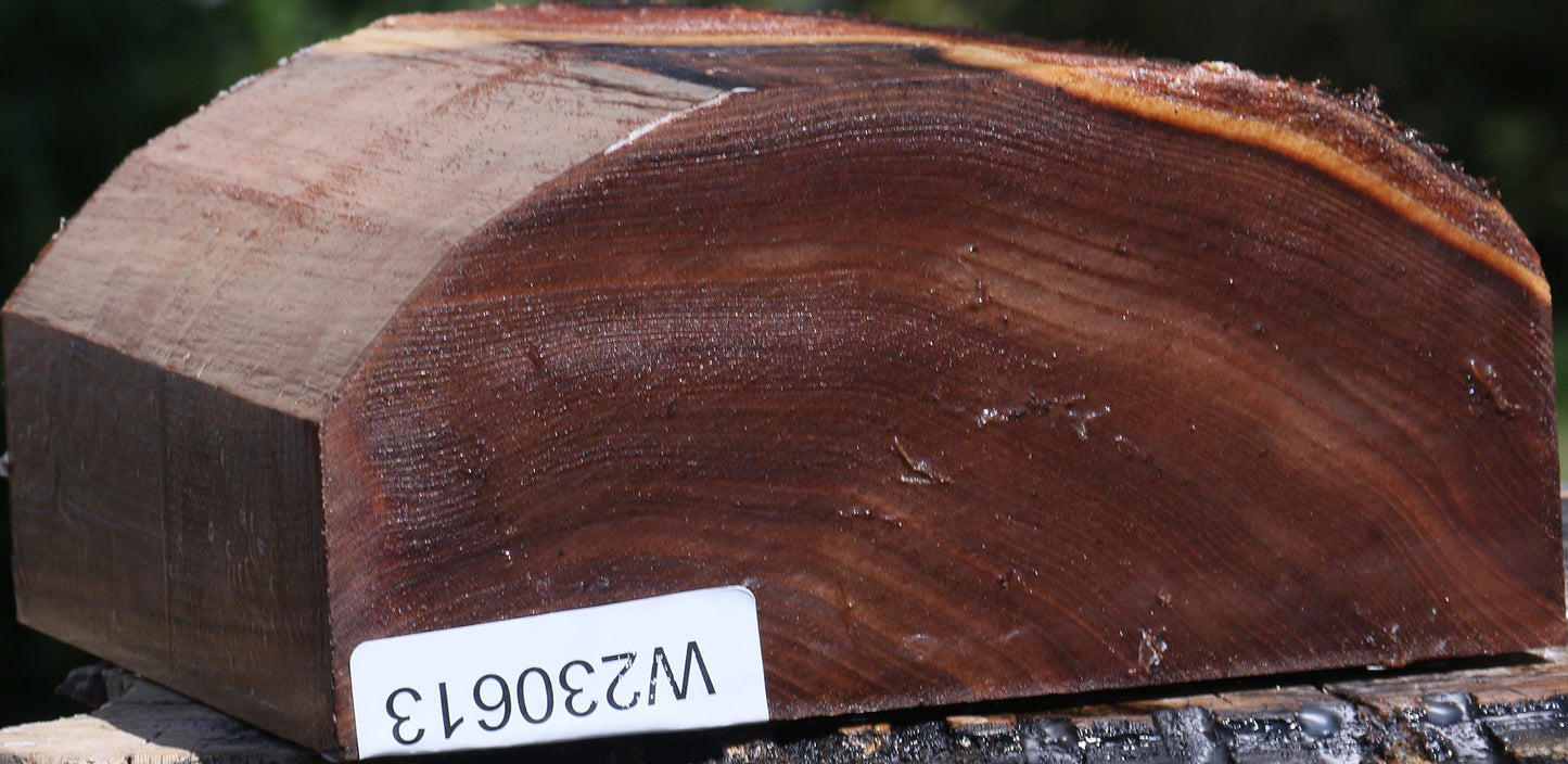 Elm Live Edge Bowl Blank