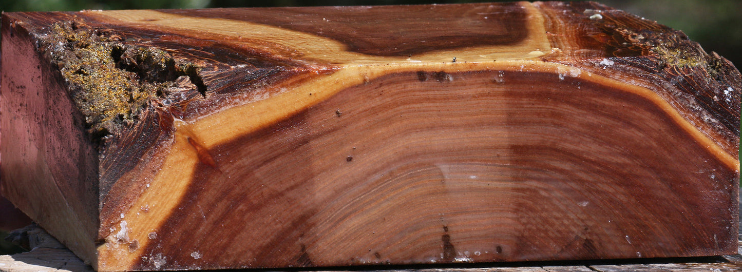 Elm Bowl Blank