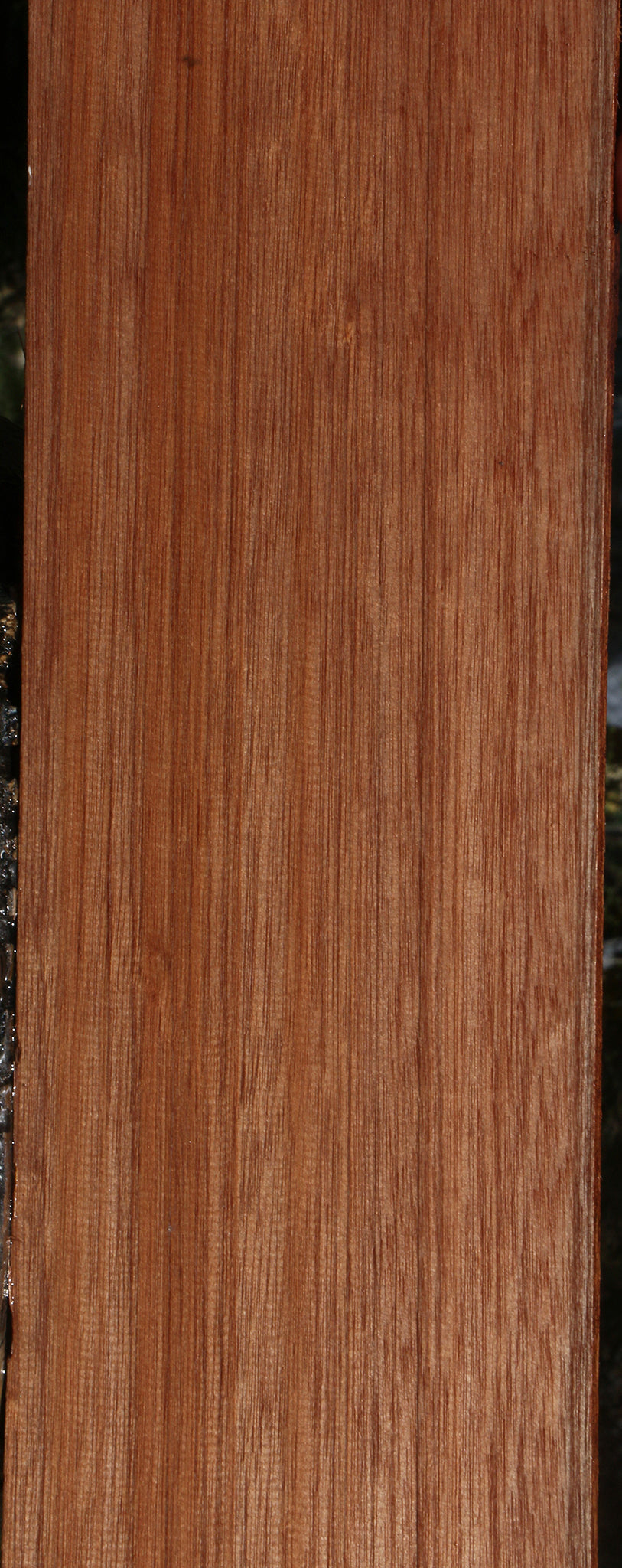 Red Meranti Lumber