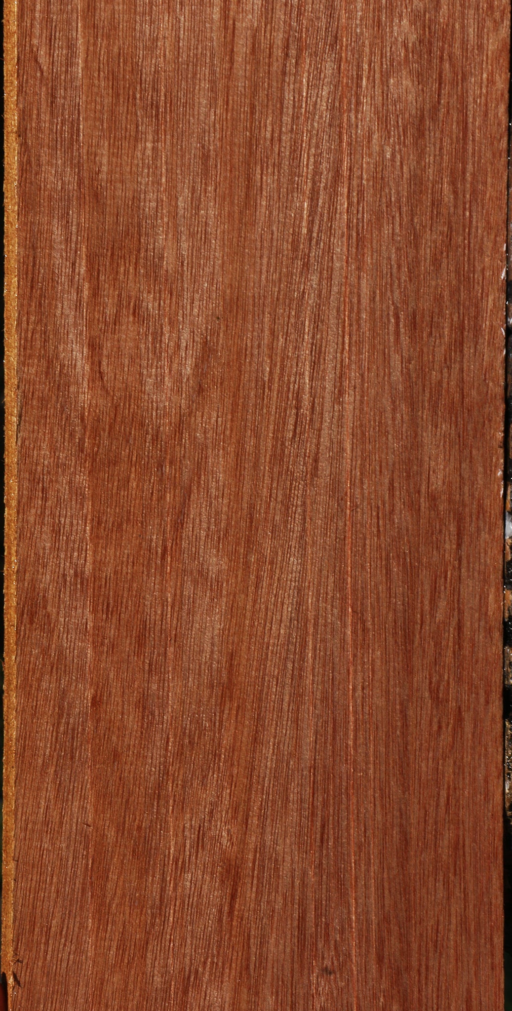 Red Meranti Lumber