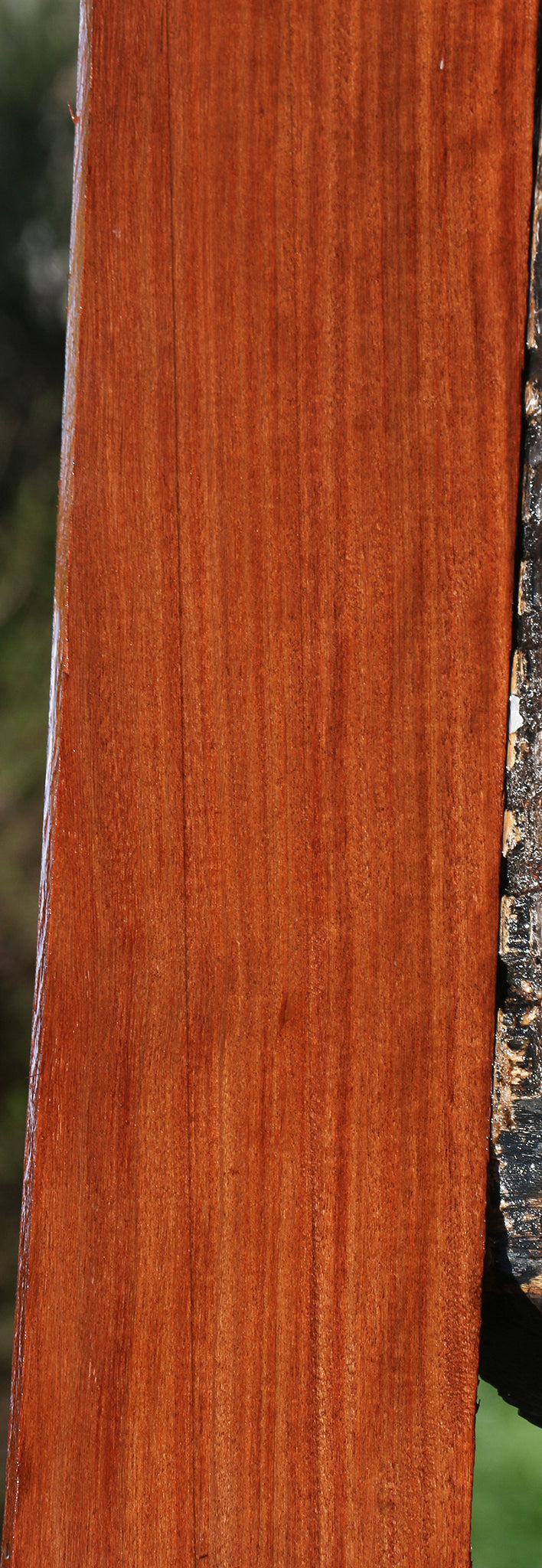 Figured Santos Mahogany Lumber