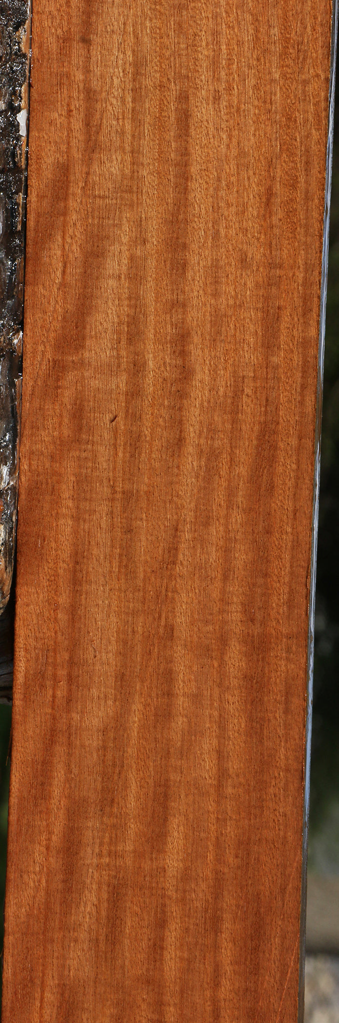 Extra Fancy Santos Mahogany Lumber