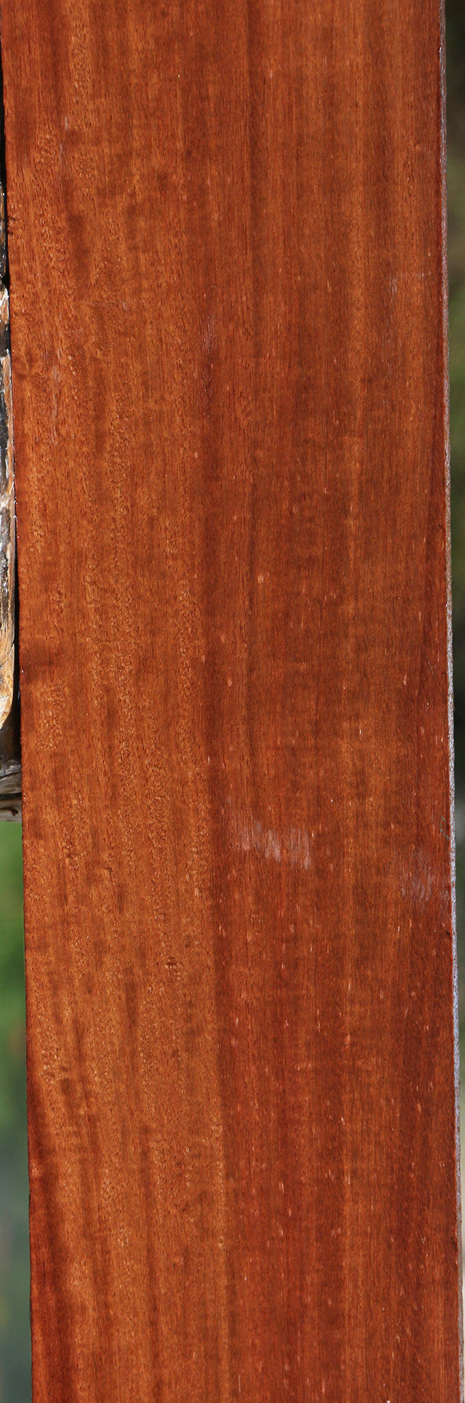 Extra Fancy Santos Mahogany Lumber