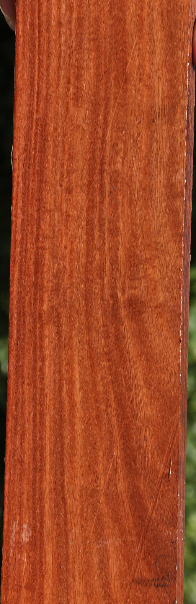 Extra Fancy Santos Mahogany Lumber