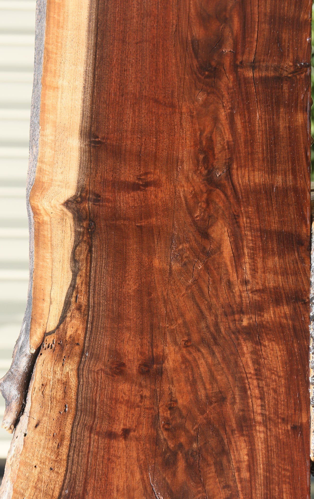 Rustic Claro Walnut Live Edge Slab