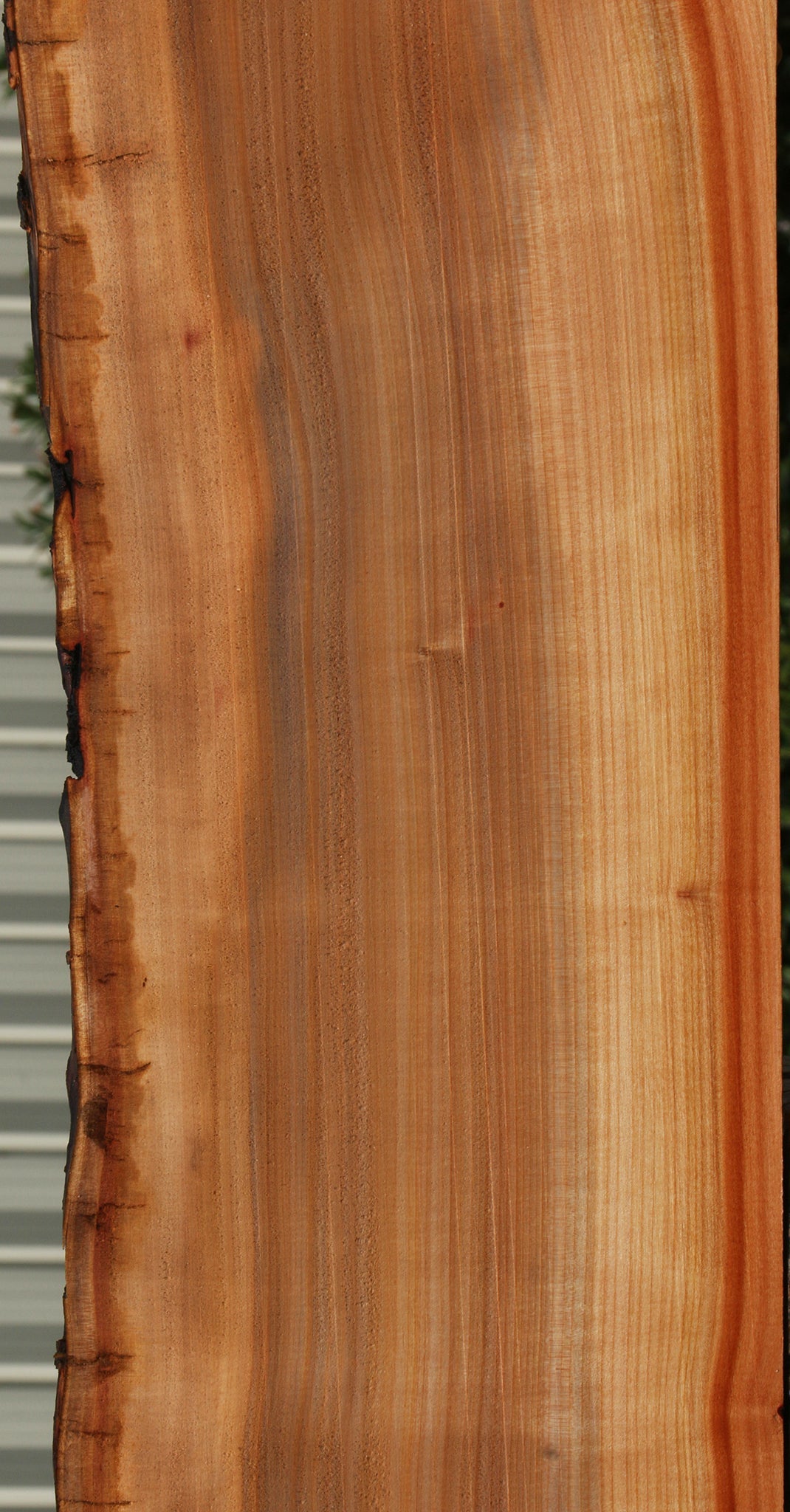 Madrone Live Edge Lumber