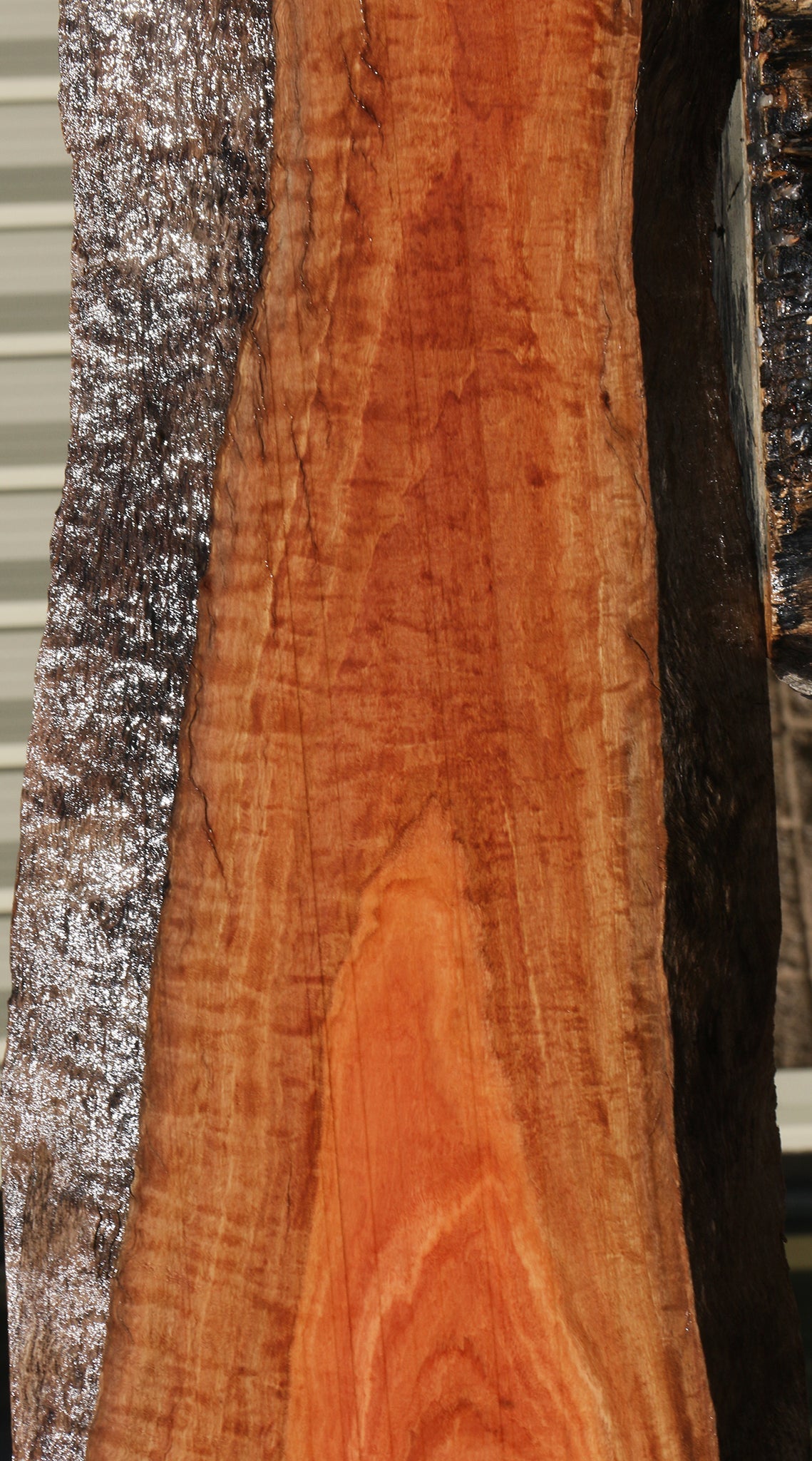 Rustic Red Ironbark Live Edge Lumber