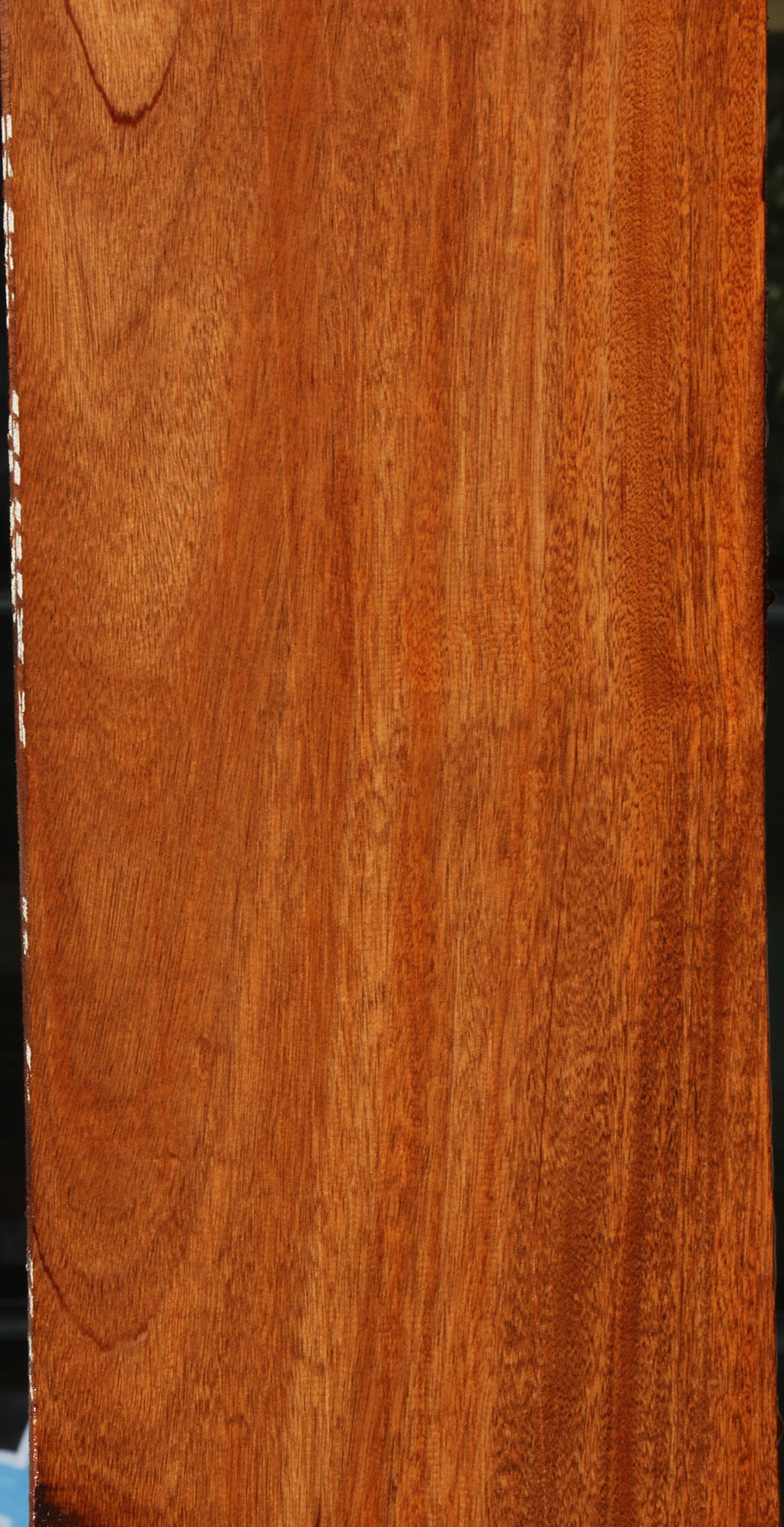 African Mahogany Slab (Free Shipping Excluded)