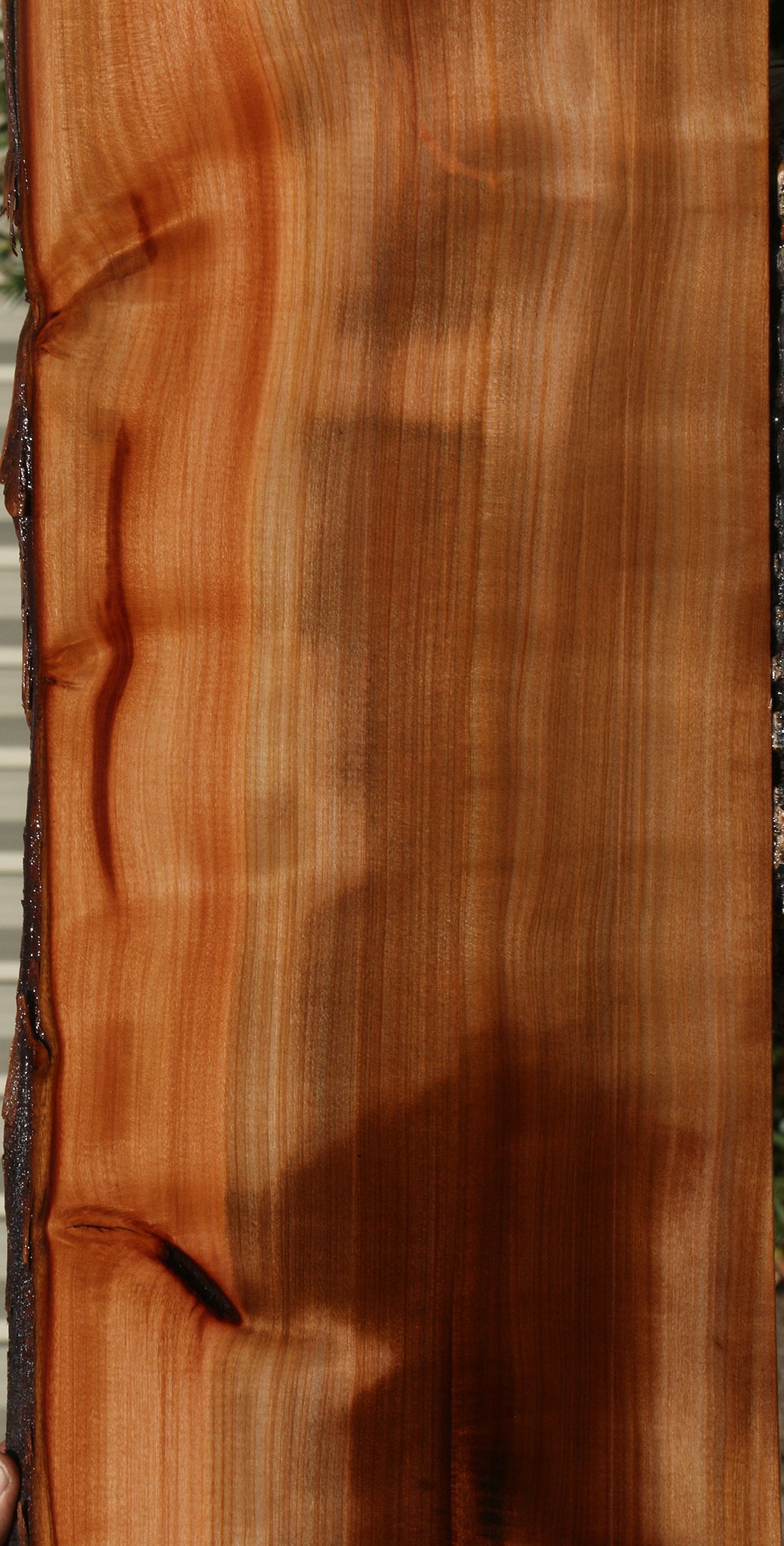 Quartersawn Madrone Live Edge Lumber