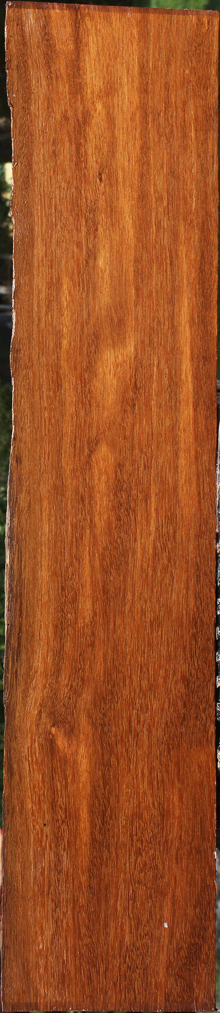 Sucupira Live Edge Lumber