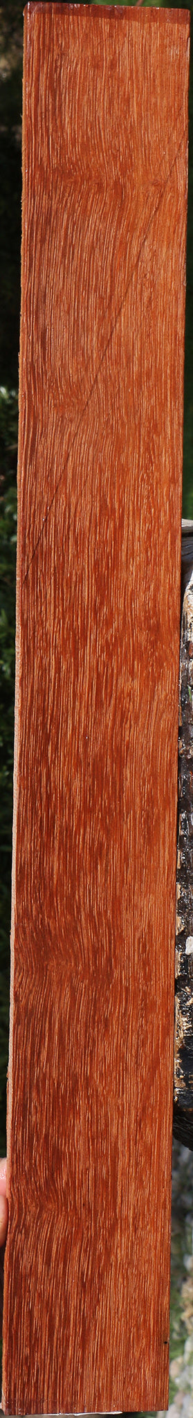 Sucupira Micro Lumber