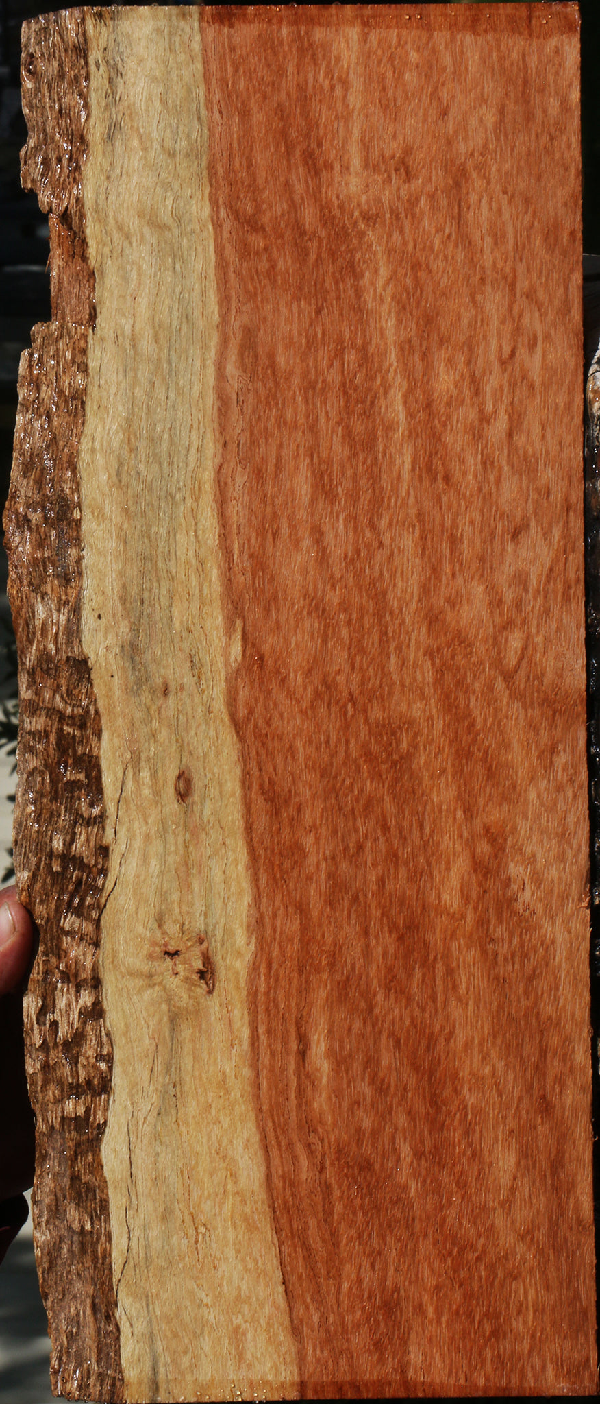 Mansonia Live Edge Lumber