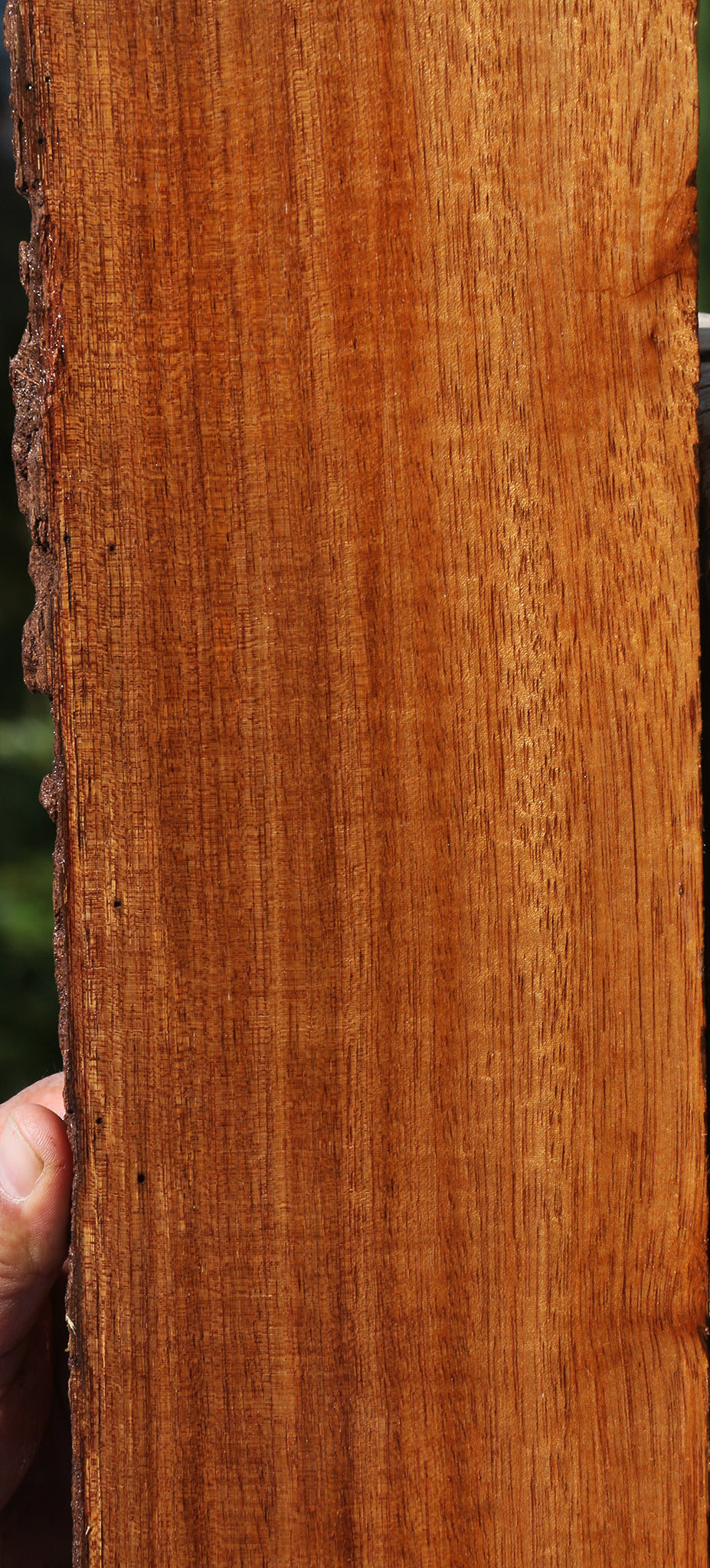 Angelim Pedra Live Edge Lumber