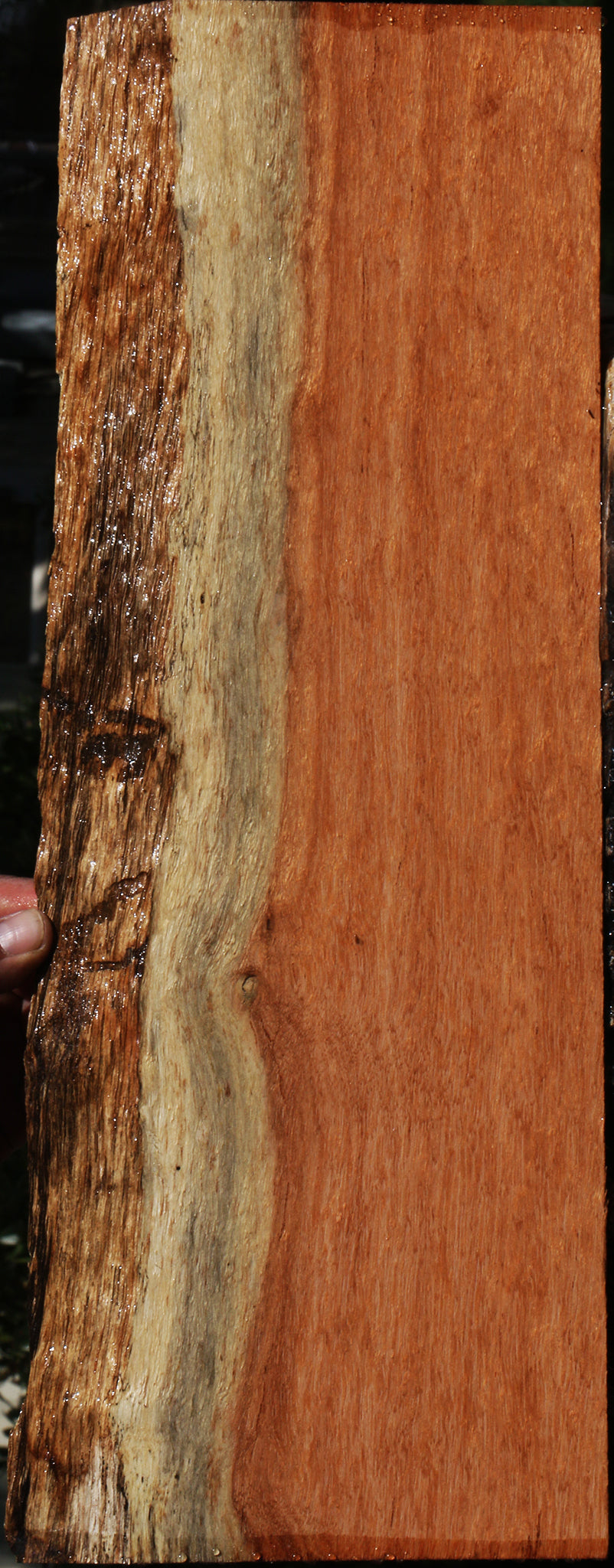 Mansonia Live Edge Lumber