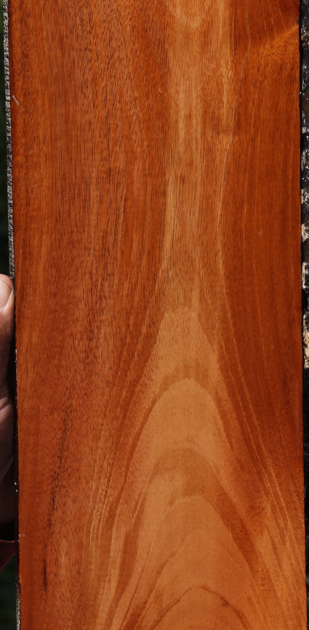 Goncalo Alves Lumber