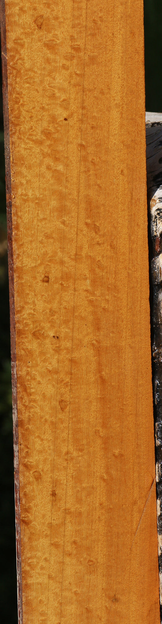 Figured Timborana Micro Lumber