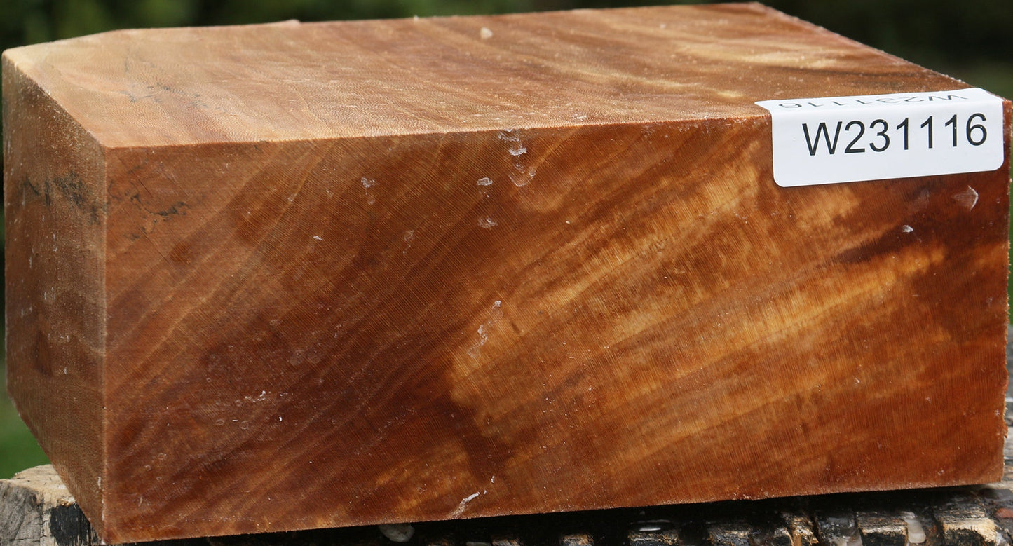 Sycamore Bowl Blank