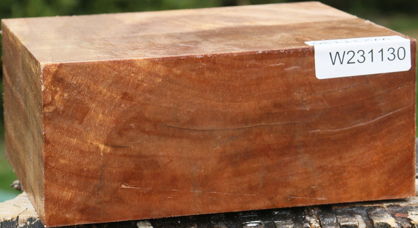 Sycamore Bowl Blank