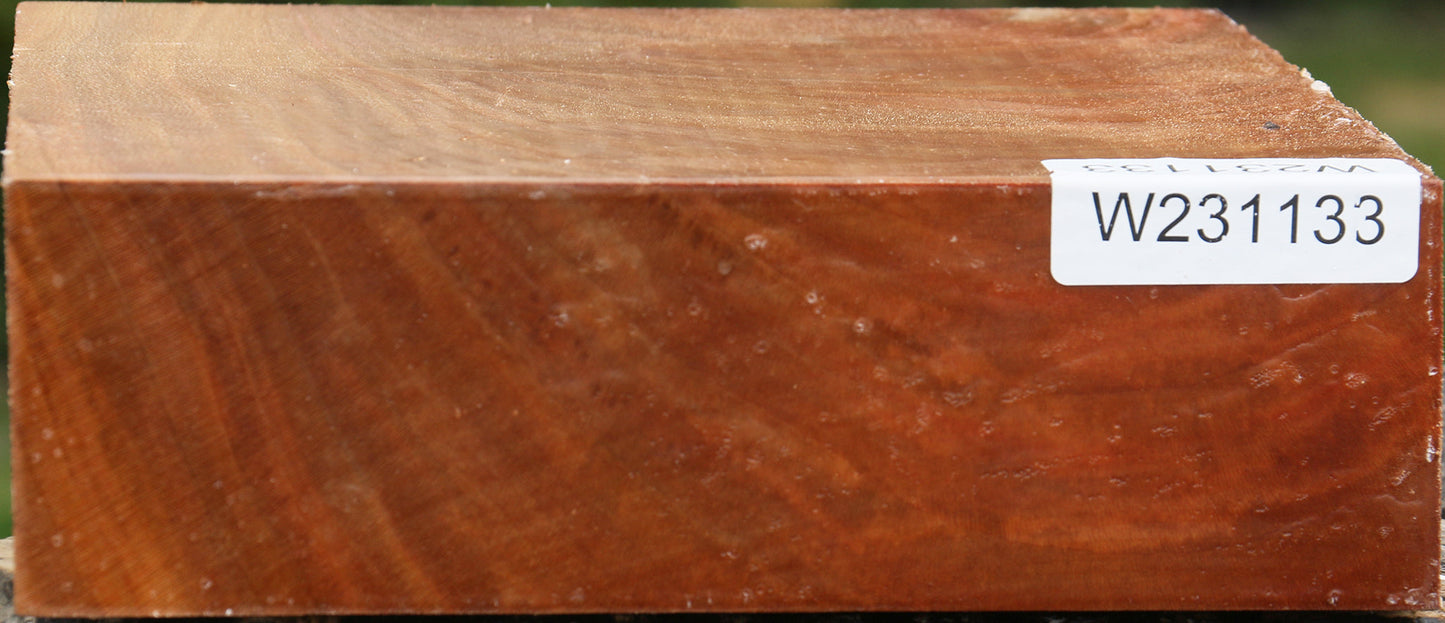 Sycamore Bowl Blank