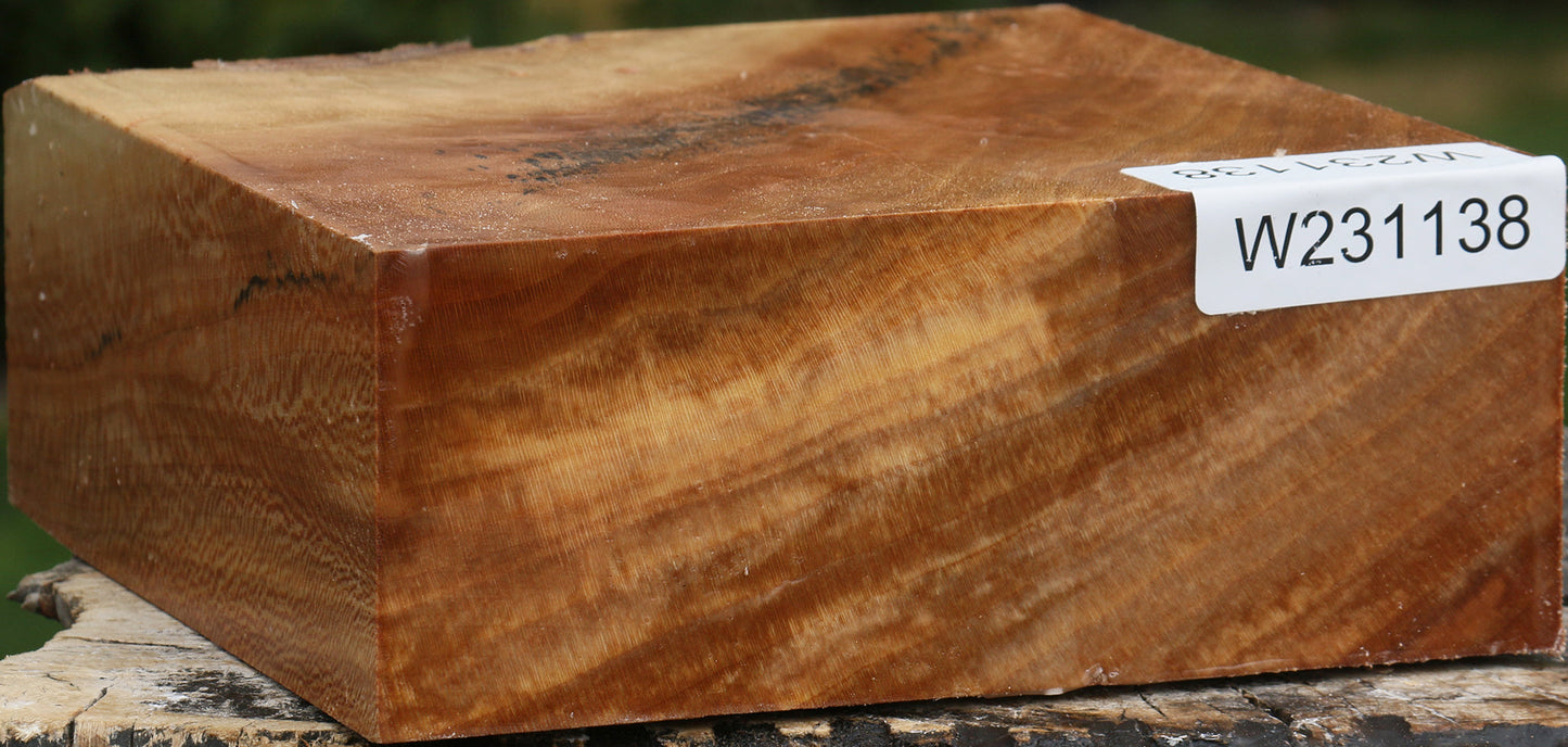 Sycamore Bowl Blank