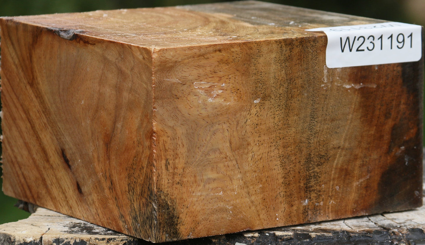 Sycamore Bowl Blank