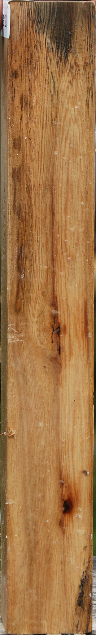 Sycamore Turning Square