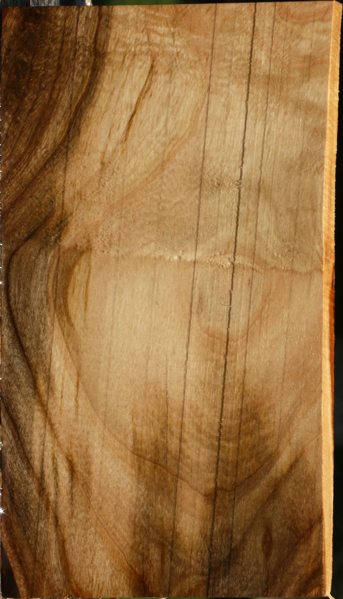 Grafted Pistachio Lumber