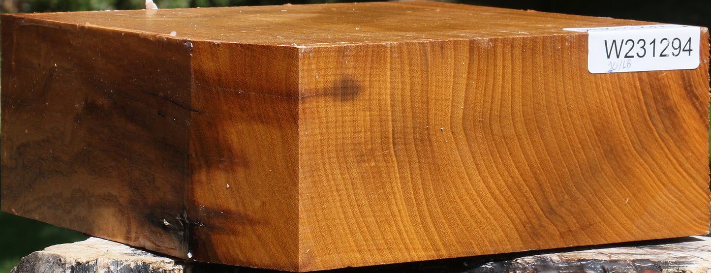 Silver Wattle Bowl Blank