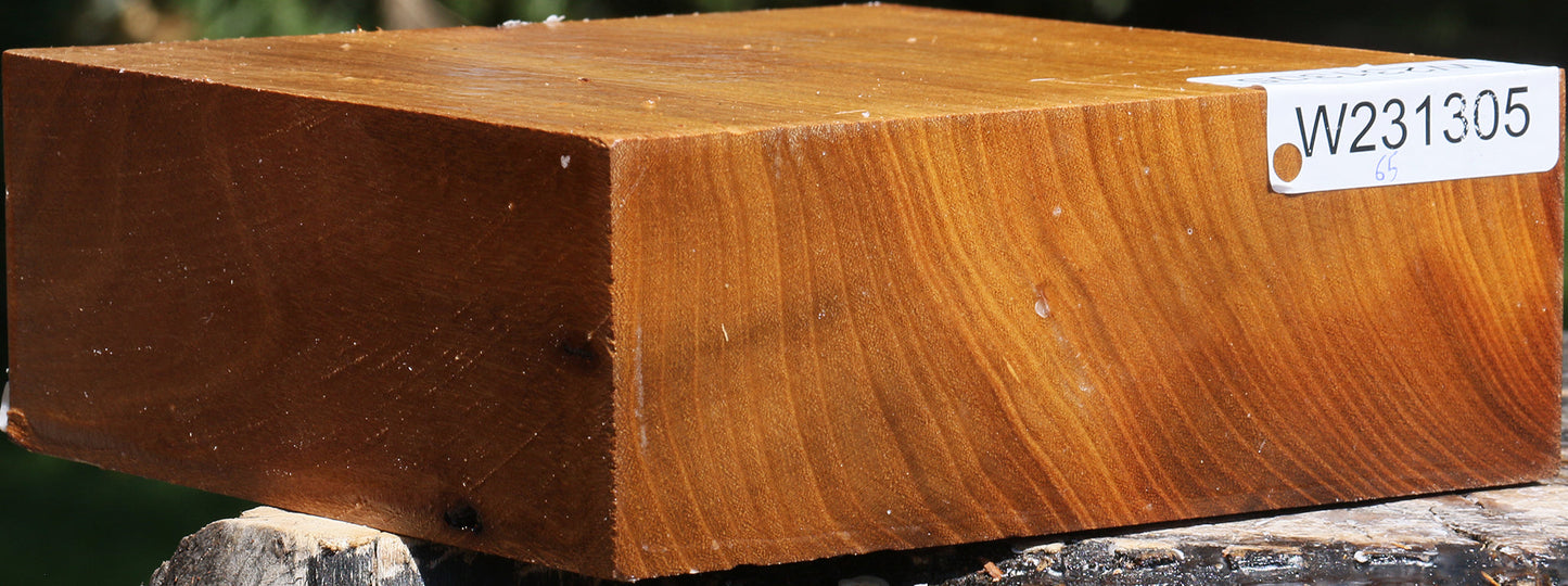 Silver Wattle Bowl Blank